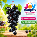 Artificial Grape Bunch with Leaves | ECOSPEL Green Grape Bunch for Car Hanging Home Decor, Table Decor | Medium Size {Green/Black Grape}